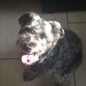 Meet your Posher, Madelyn